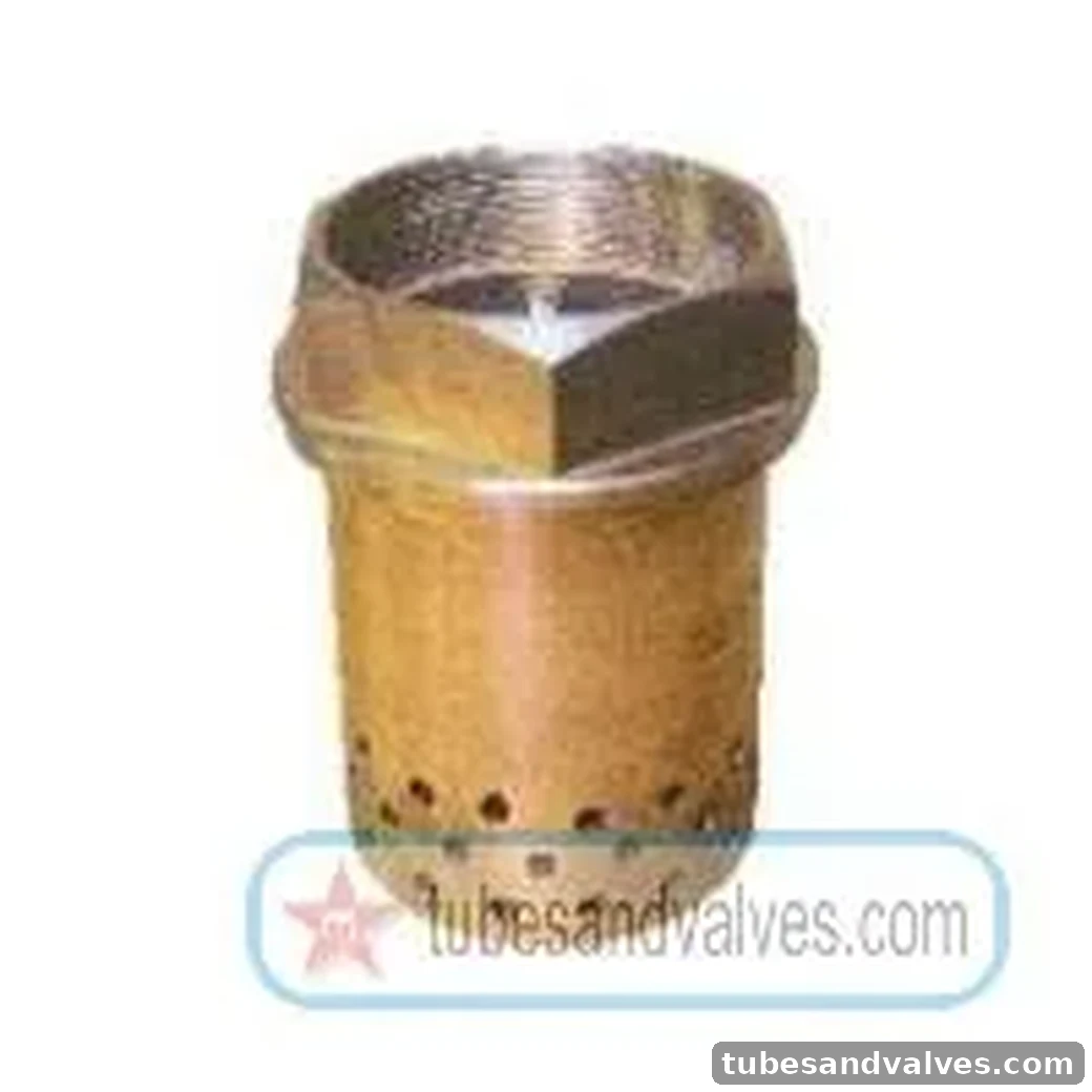 32mm (1 1/4") GUN METAL / BRASS FOOT VALVE - HOLE TYPE - Screwed End - THREADED END SWASTIK