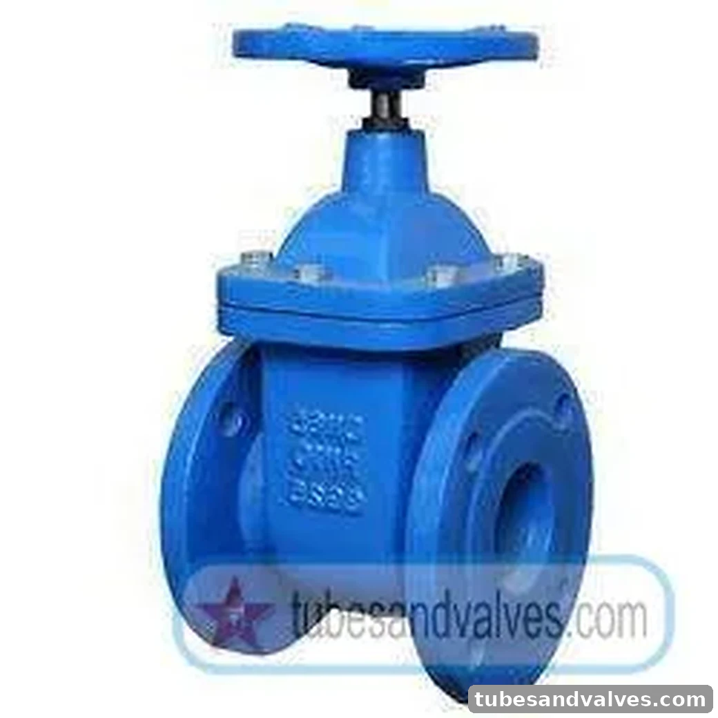 Carbon Steel, Cast Iron - 40mm (1 1/2") LEADER GATE VALVE CAST IRON BODY Flanged End - 40mm (1 1/2") - Class 125