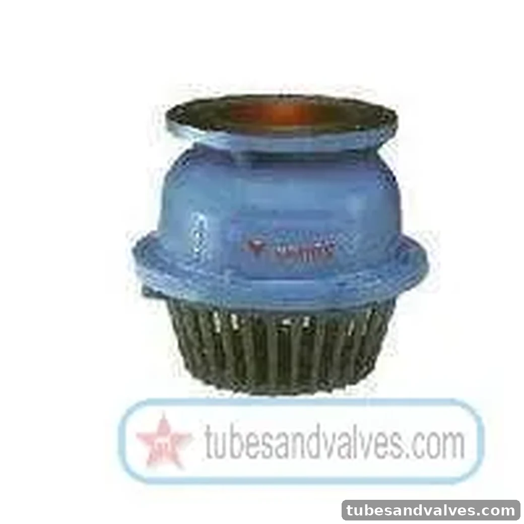 50mm (2") CI FOOT VALVE AS PER IS 4038 Flanged End DIVINE