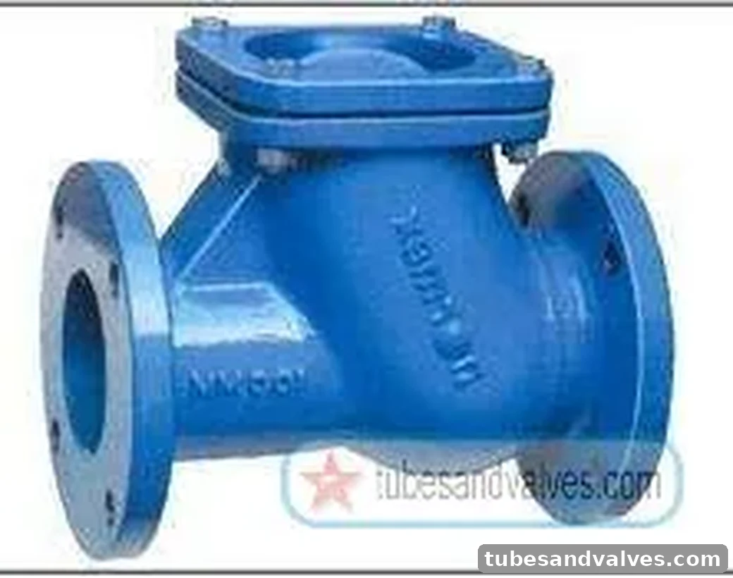 50mm (2") NORMEX BALL TYPE NRV Flanged End