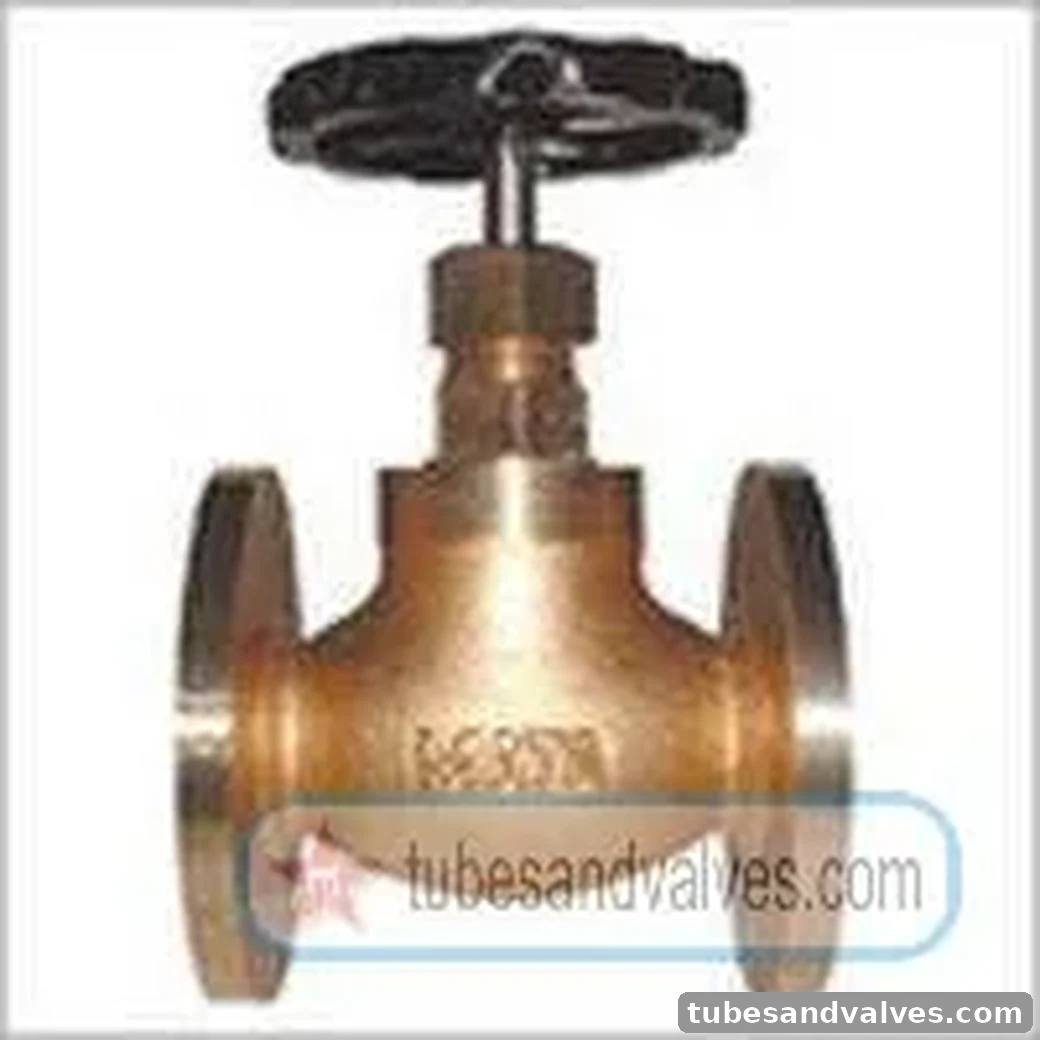 50mm (2") ATAM GUN METAL GLOBE VALVE Flanged End