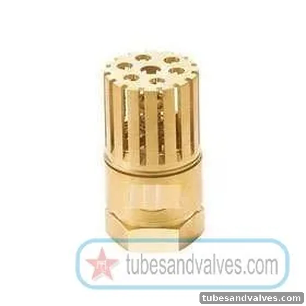 65mm (2 1/2") GUN METAL / BRASS FOOT VALVE Screwed End - THREADED END SWASTIK