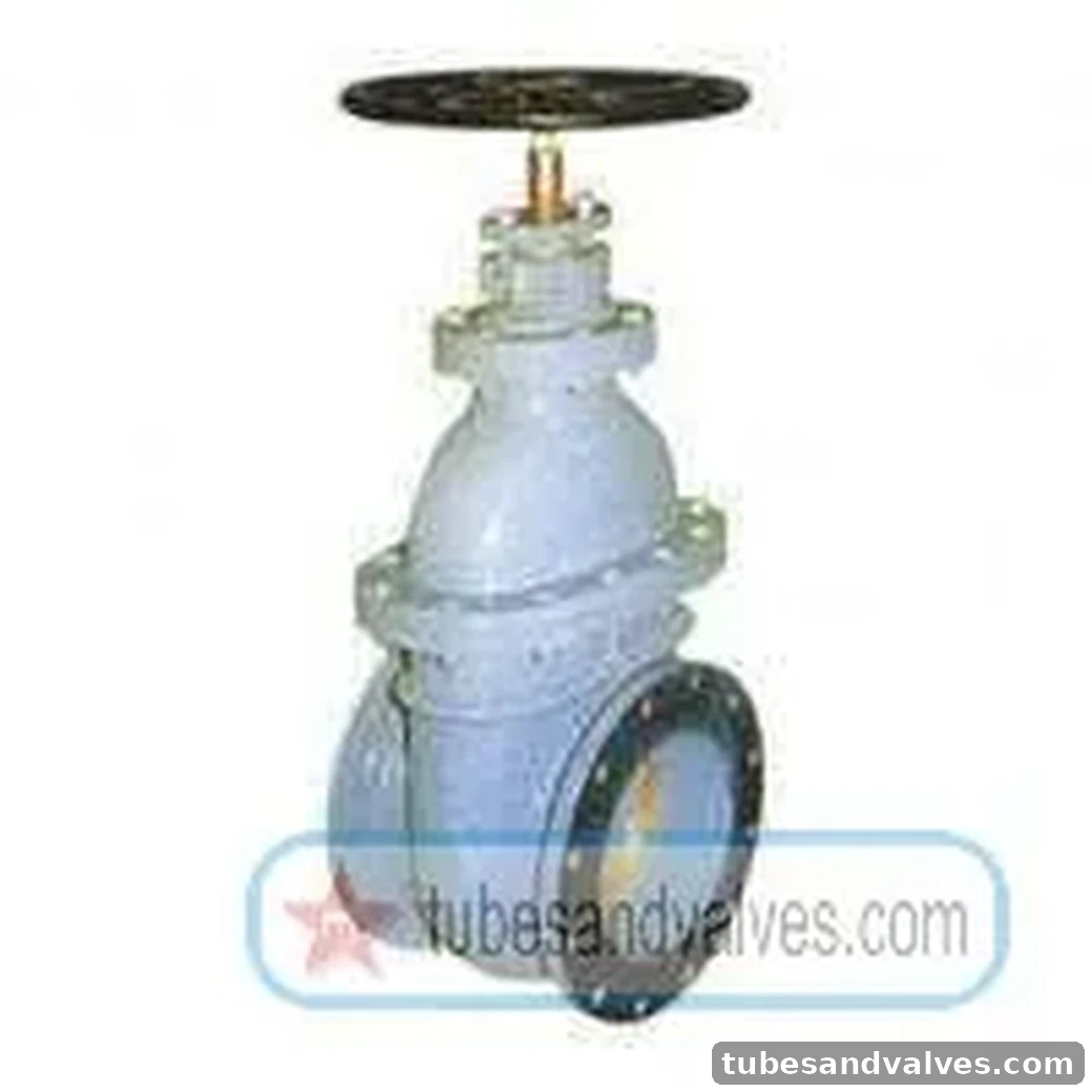 250mm (10") CI SLUICE AS PER IS 14846 WITH ISI F/EFLANGED END TO ISS DIVINE