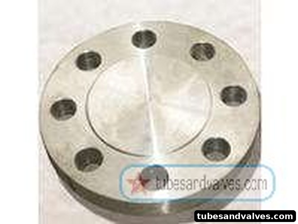 Blind Flange - 25mm (1") - ANSI B 16.5, IS 2062 product image