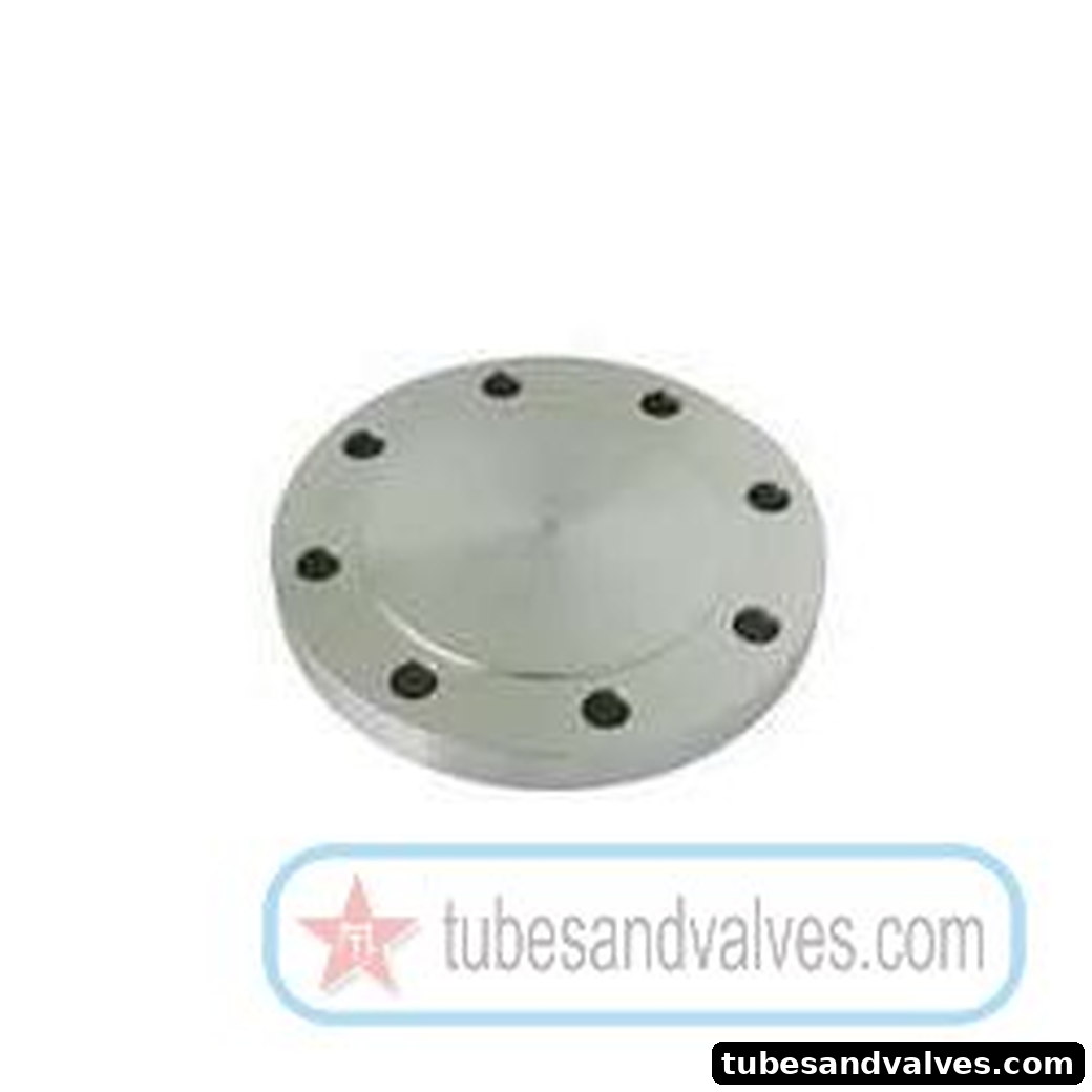 Blind Flange - 25mm (1") - PN 10 - IS 2062 product image