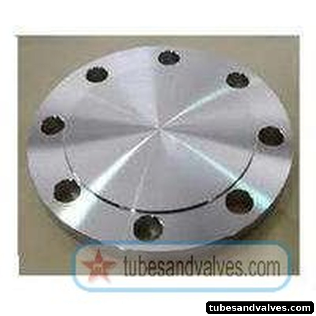 Blind Flange - 25mm (1") - PN 16 - IS 2062 product image