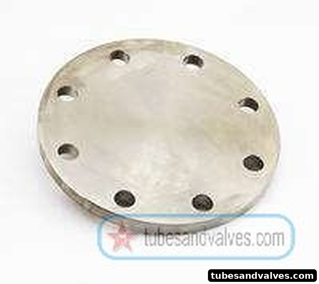 100mm (4") SS 304 DUMMY FLANGE AS PER BS - 10 TABLE D product image