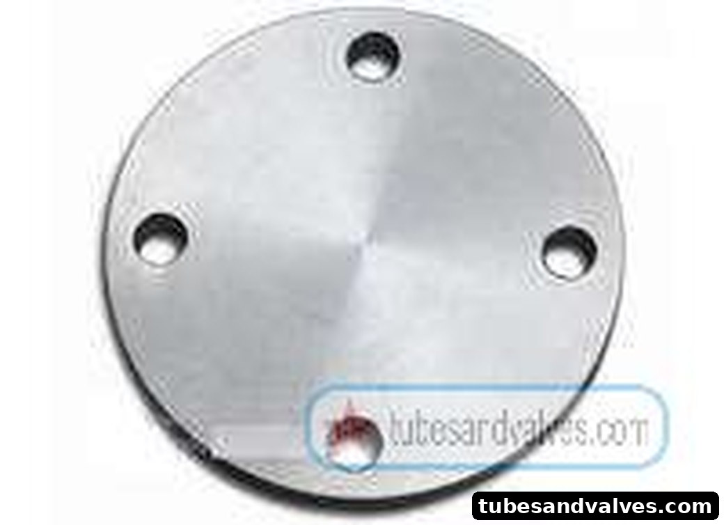 100mm (4") SS 304 DUMMY FLANGE AS PER BS - 10 TABLE E product image