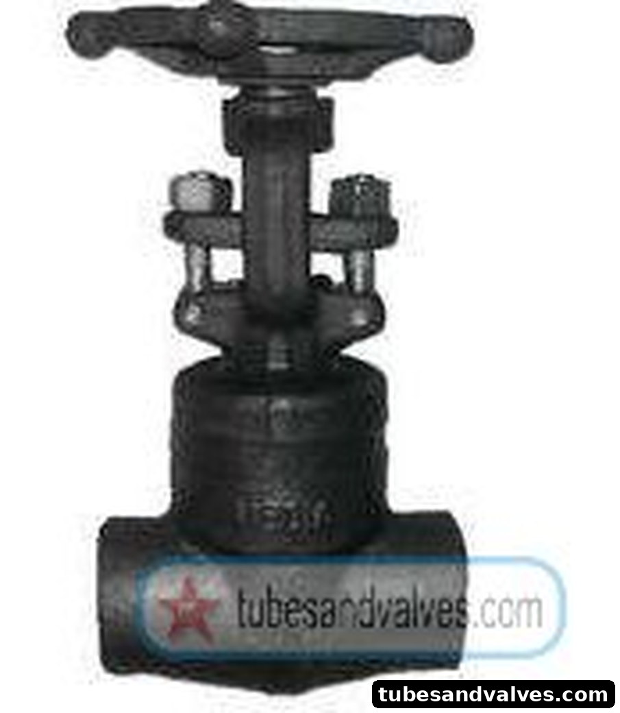 15mm (1/2") FCS - FORGED CARBON STEEL GATE VALVE Socket Weld IBR FLOWJET product image