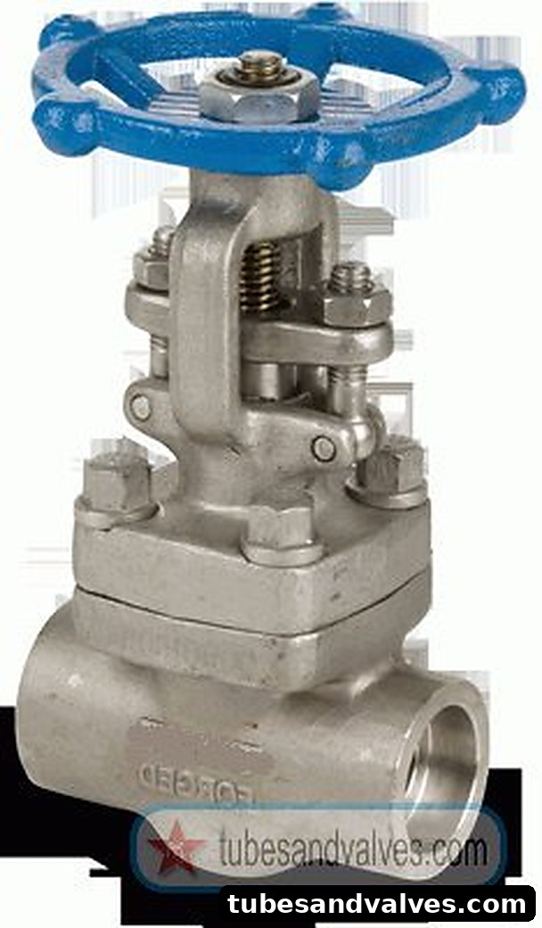 25mm or 1" NB LEADER GLOBE VALVE FCS BODY SS TRIM S/W-SOCKETWELDED END 800 LBS IBR product image