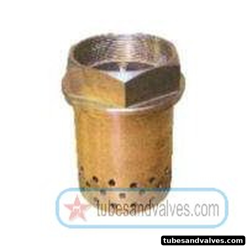 20mm (3/4") GUN METAL / BRASS FOOT VALVE - HOLE TYPE - Screwed End - THREADED END SWASTIK product image