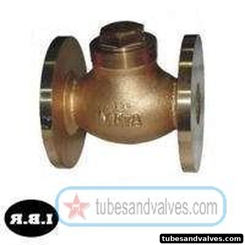 20mm (3/4") BRONZE HORIZONTAL LIFT CHECK VALVE Flanged End WJ / ELEMS / EQ IBR product image