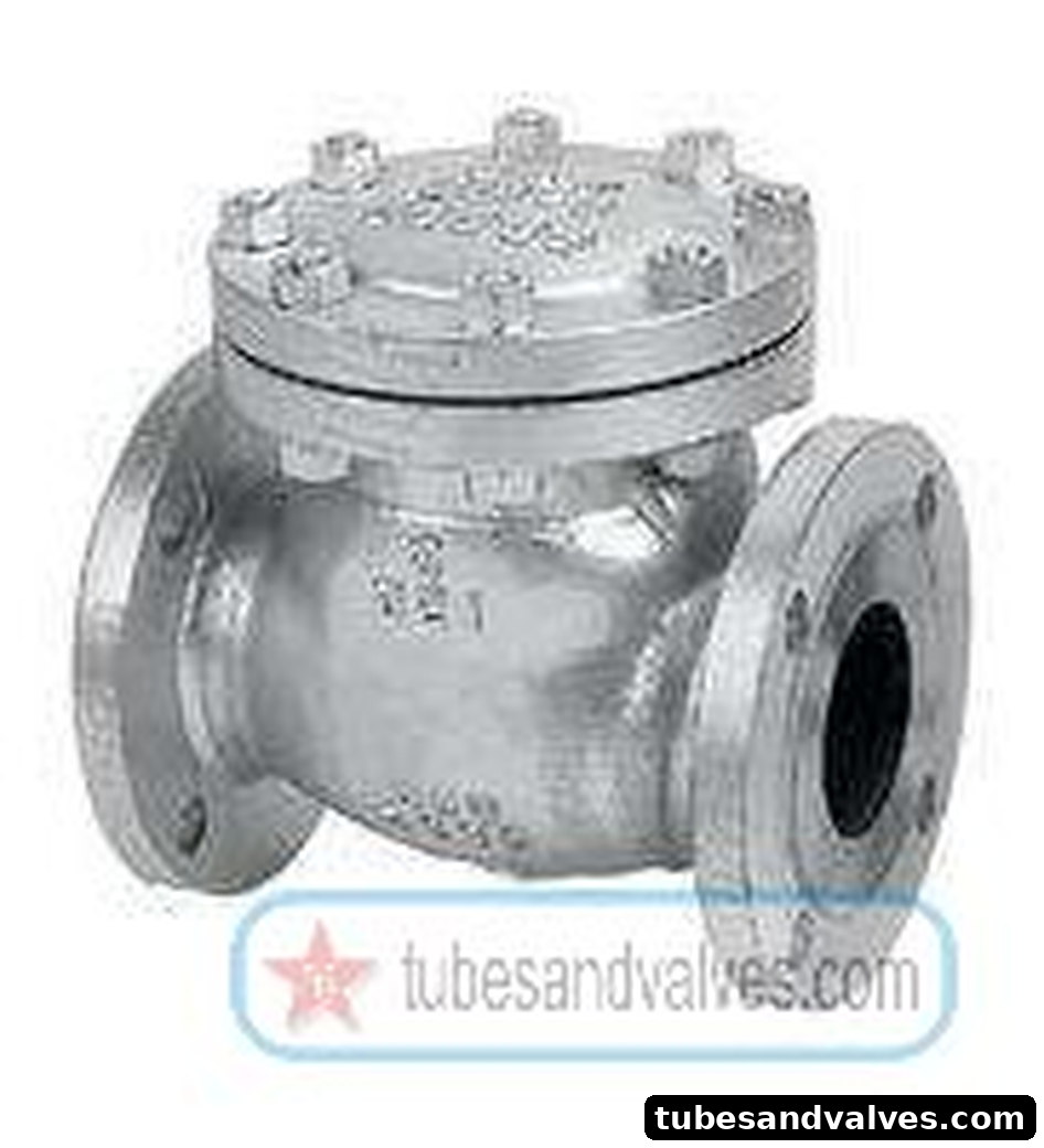 125mm (5") CAST STEEL SWING CHECK VALVE Flanged End TO Class 150 IBR FLOWJET product image