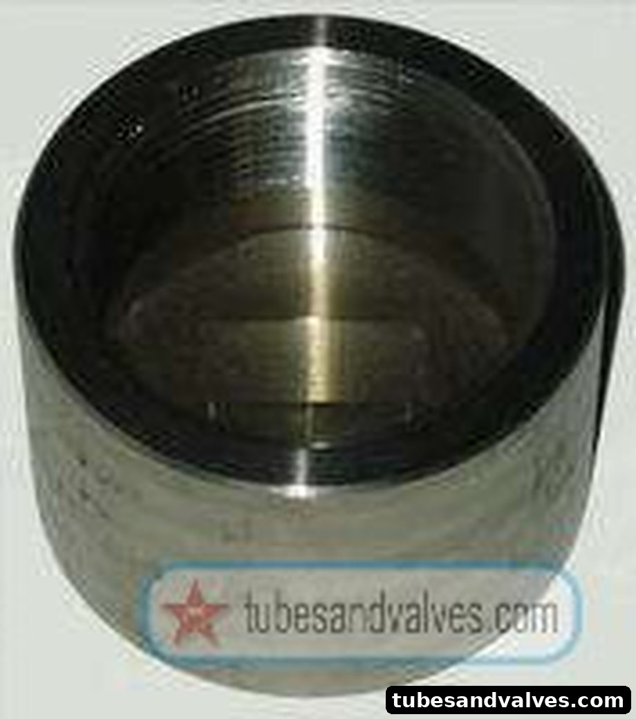 65mm or 2 1/2" NB FS-FORGED STEEL CAP S/E-SCREWED END-THREADED END TO NPT 3000 LBS product image