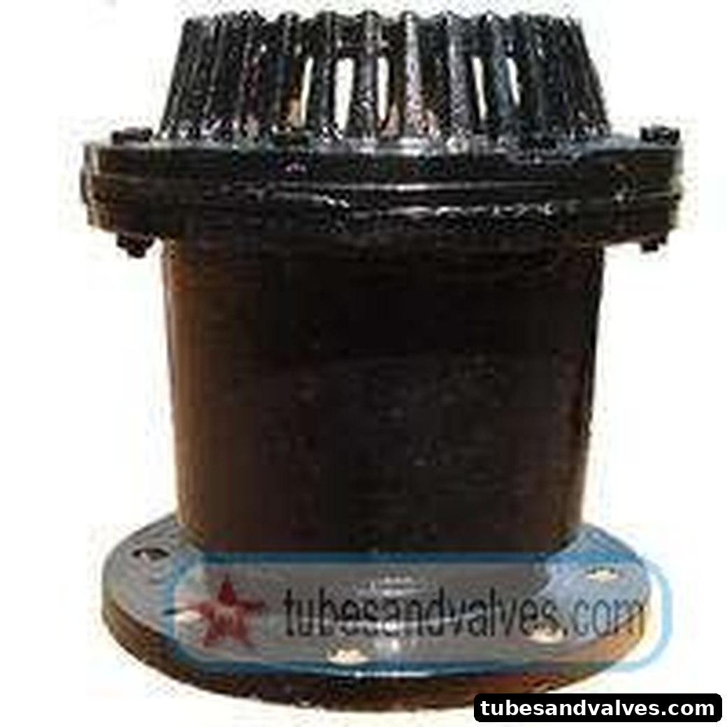 50mm (2") CI FOOT VALVE SWING TYPE Flanged End VV product image