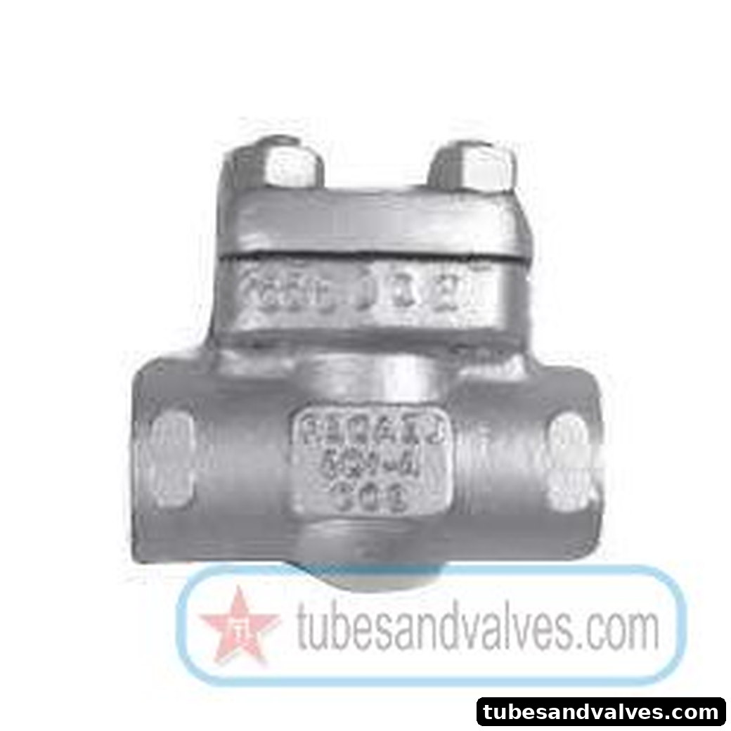 Carbon Steel - Check Valve - 50mm (2") - Class 800, SCH 800 - IBR product image