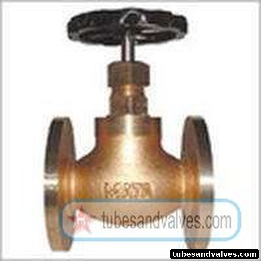 20mm (3/4") ATAM GUN METAL GLOBE VALVE Flanged End product image
