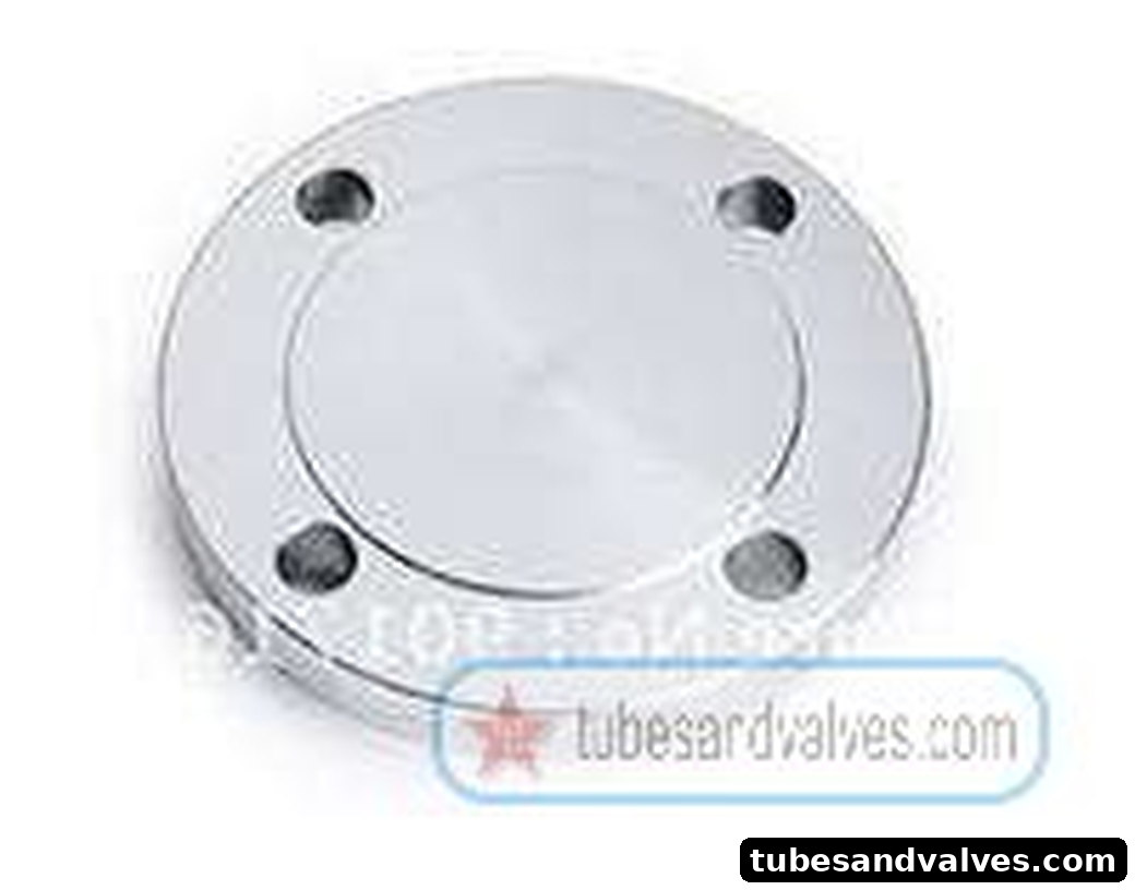 200mm or 8" NB SS 304 DUMMY -BLRF- FLANGE AS PER ANSI B 16-5 CLASS #150 product image