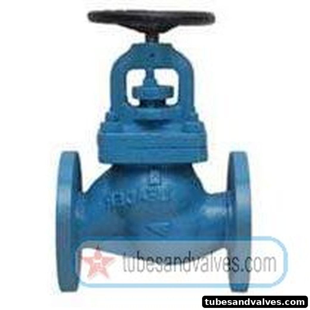 50mm or 2" NB LEADER GLOBE VALVE CAST IRON BODY SS TRIM FLANGED END TO PN 16 product image