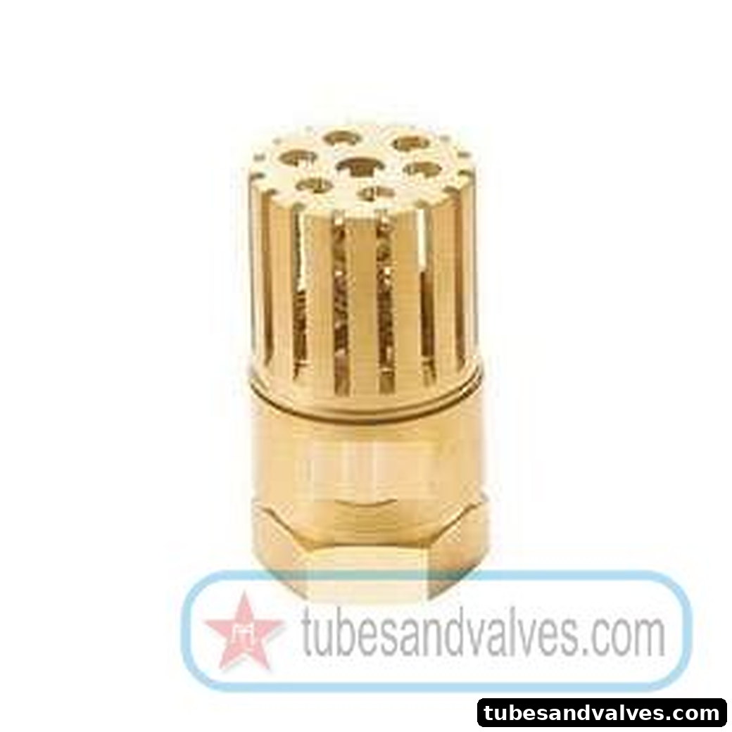 100mm (4") GUN METAL / BRASS FOOT VALVE Screwed End - THREADED END SWASTIK product image