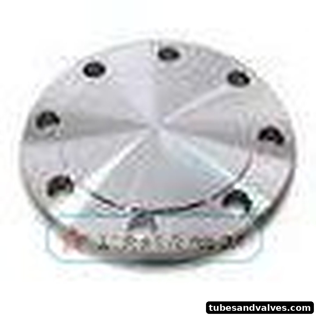 Blind Flange - 25mm (1") - ANSI B 16.5, IS 2062 product image