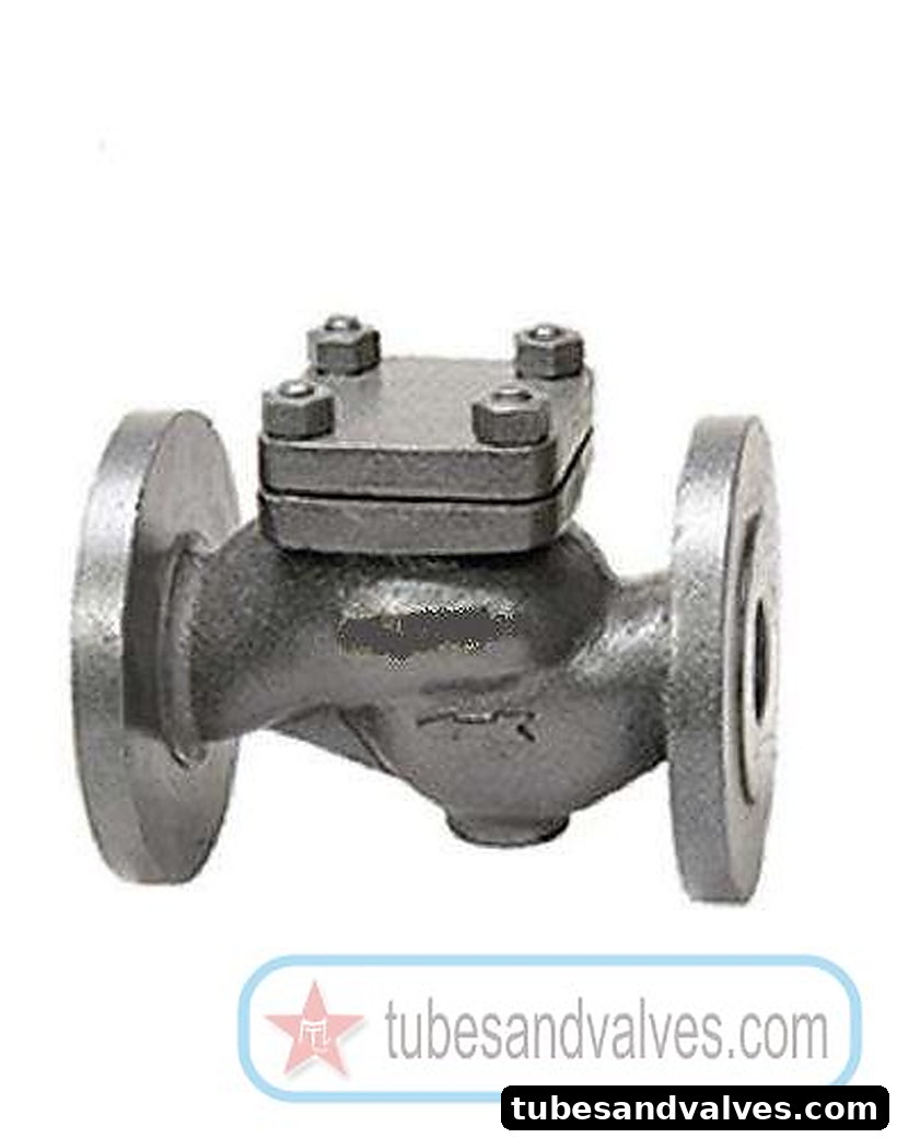 20mm or 3/4" NB LEADER VALVES-CAST IRON HORIZONTAL LIFT CHECK VALVE FLANGED END TO CLASS 125 CU ALLOY TRIM product image
