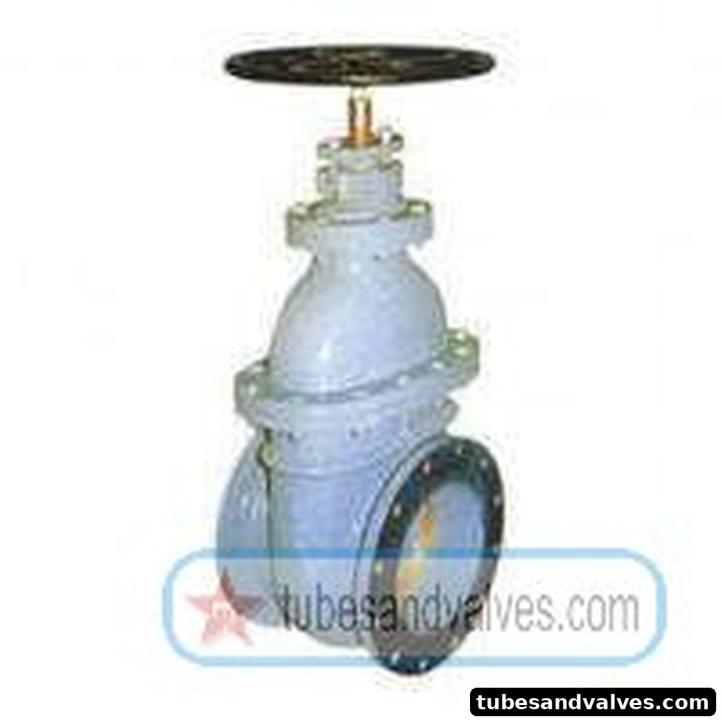 125mm (5") CI SLUICE AS PER IS 14846 WITH ISI F/EFLANGED END TO ISS DIVINE product image