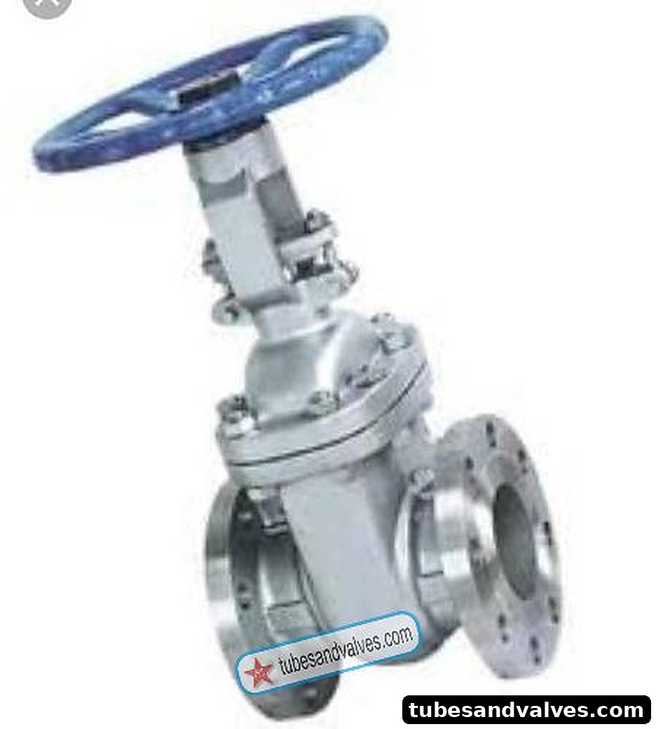100mm (4") Casco SS 304 Gate Valve Flange End Class 150 CF8 product image