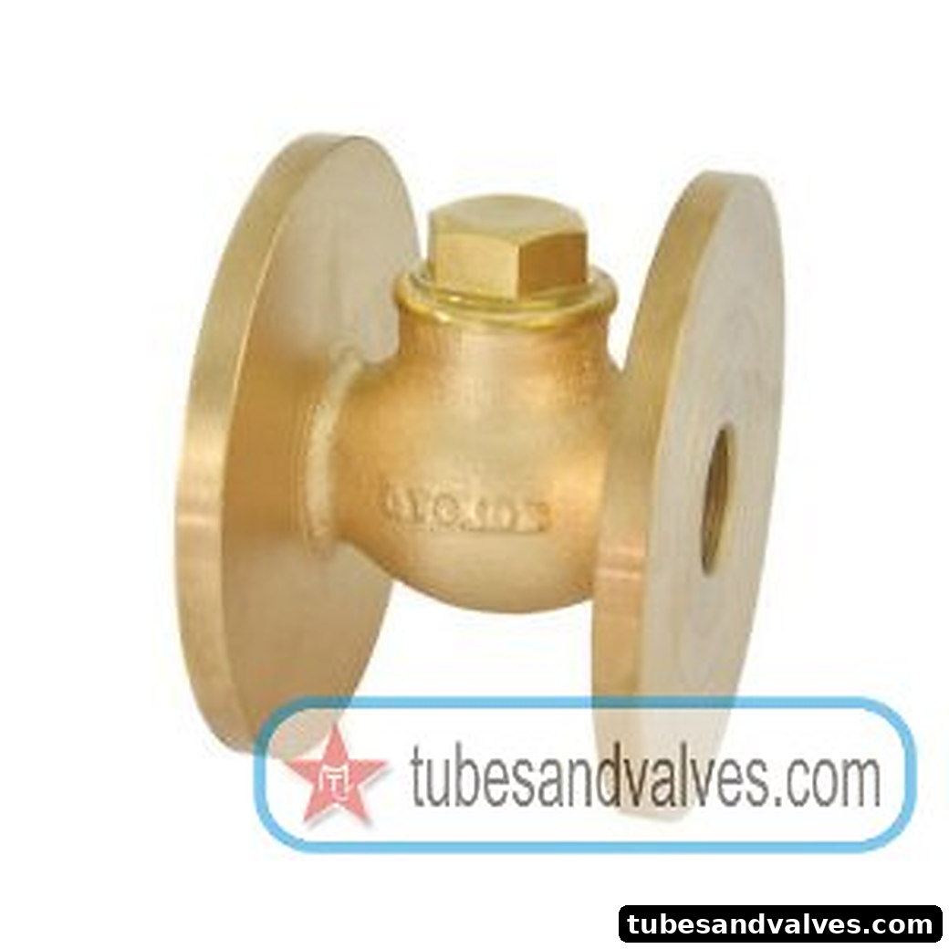 15mm (1/2")ZOLOTO 1012 BRONZE HORIZONTAL CHECK VALVE FLANGED NO8 product image