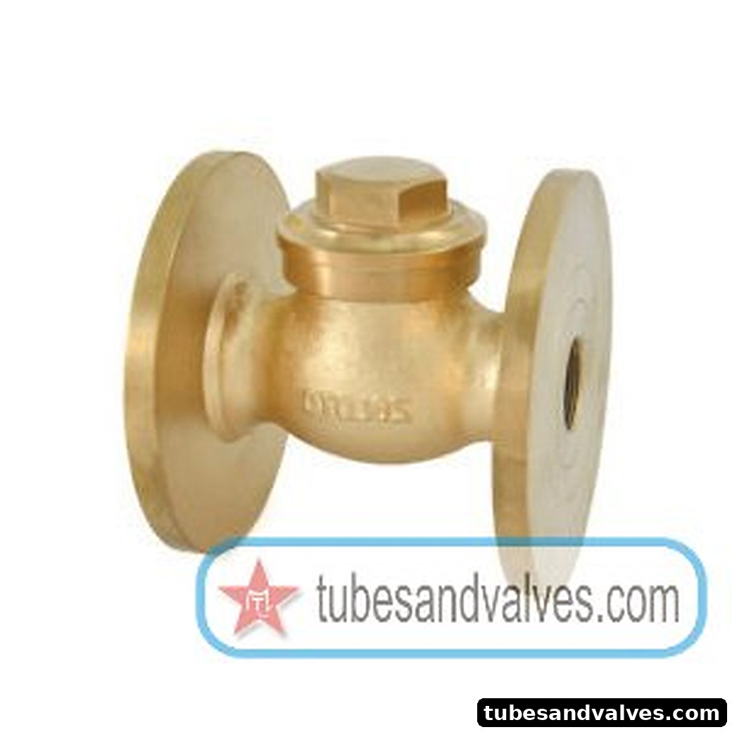 15mm (1/2")ZOLOTO 1014 BRONZE HORIZONTAL CHECK VALVE FLANGED NO9 product image