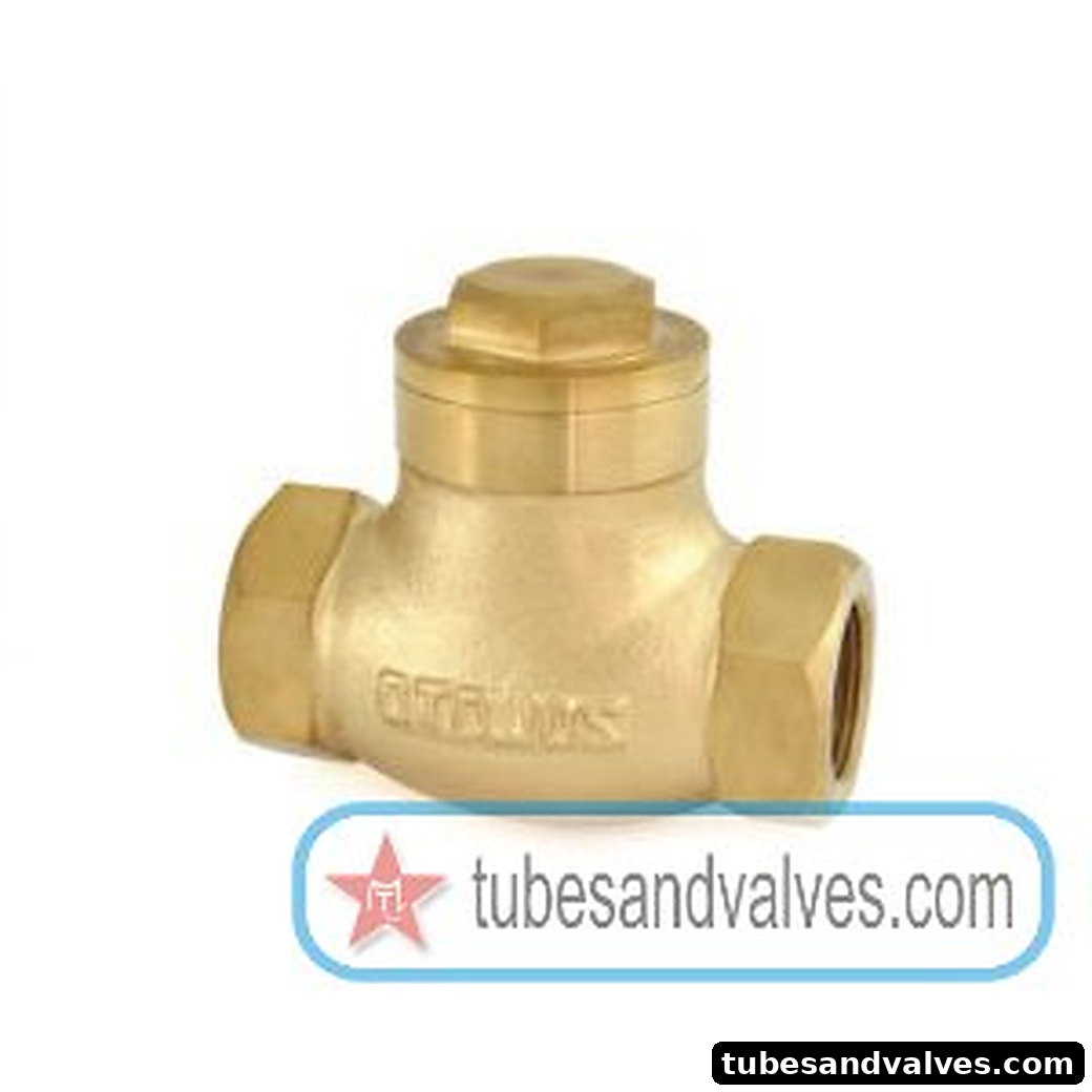 20mm (3/4")ZOLOTO 1043 BRONZE HORIZONTAL LIFT CHECK VALVE SCREWED product image