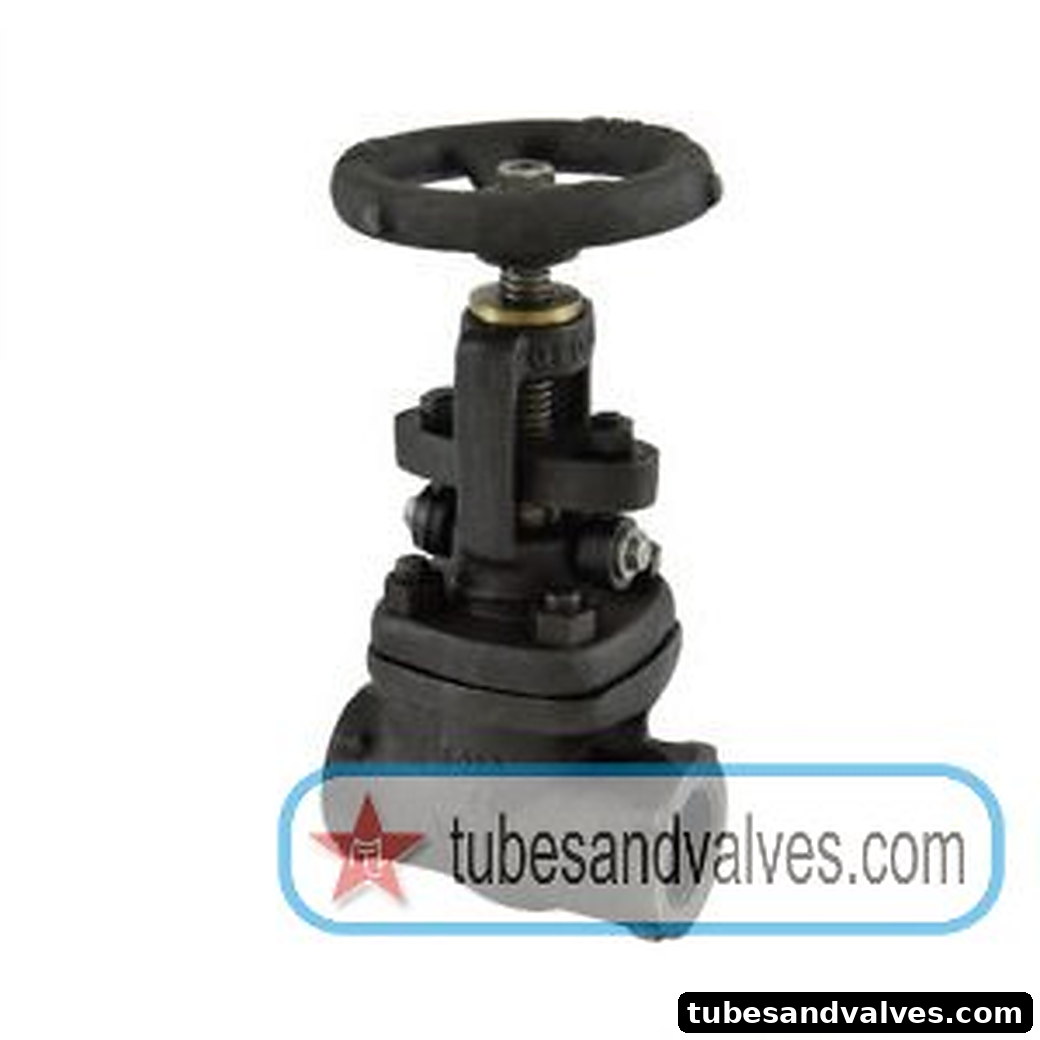 3/8" or 10mm ZOLOTO 1075A FORGED STEEL GATE VALVE CLASS 800 FULL BORE product image
