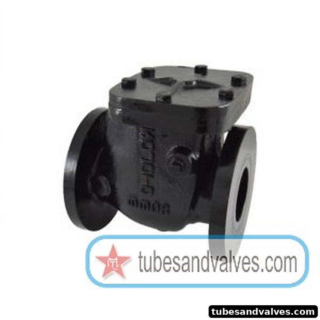 2" or 50mm ZOLOTO 1083 CAST IRON NON RETUEN VALVE FLANGED PN10 product image