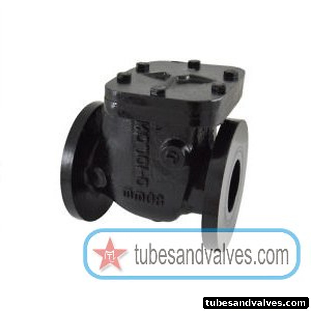 3" or 80mm ZOLOTO 1083A CAST IRON NON RETUEN VALVE FLANGED PN16 product image