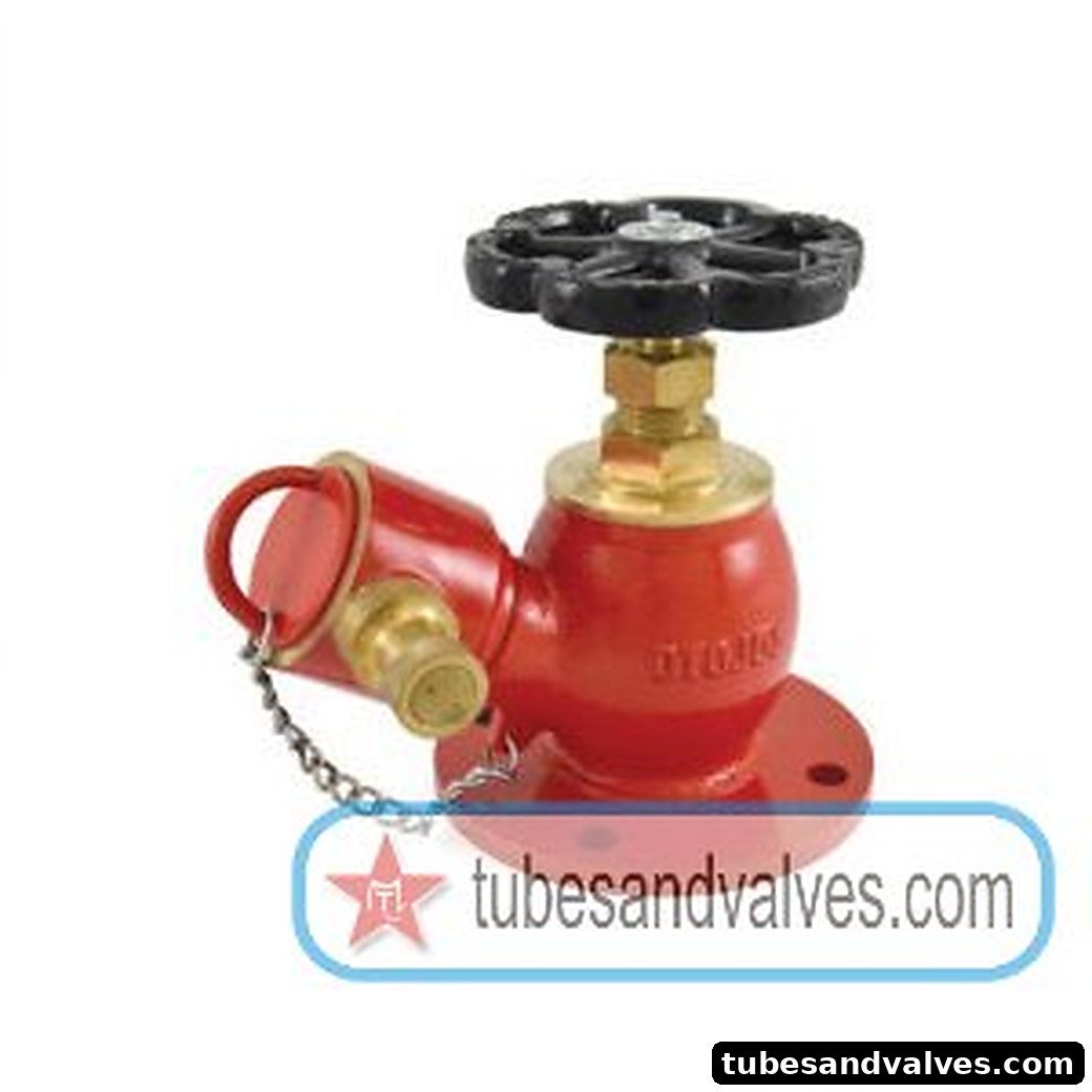80mm (3")ZOLOTO 1093A STAINLESSSTEEL SS 304 LANDING FIRE HYDRANT VALVE FLANGED product image
