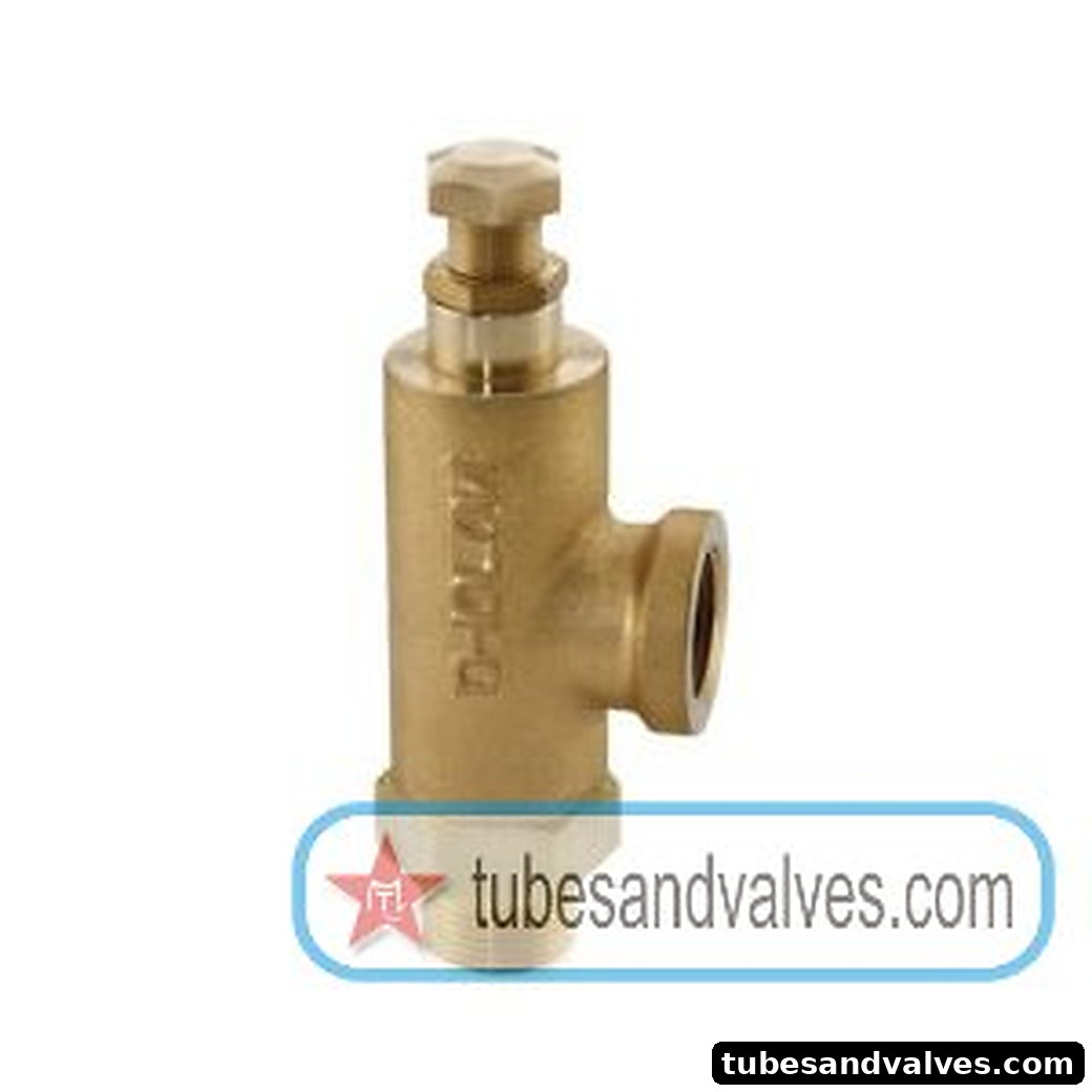 Safety / Relief Valve product image