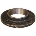 MS Threaded Flange