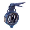 Audco Butterfly Valve