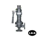  Cast Iron Single Post Hi-Lift Safety Valve F/E Atam IBR