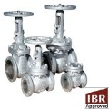 Cast Steel IBR Valves