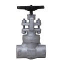  LEADER MAKE FCS GLOBE VALVE  800 LBS IBR