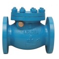 LEADER MAKE CAST IRON SWING & LIFT CHECK VALVE FLANGED END TO CLASS 125