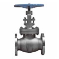 LEADER VALVE CS GLOBE VALVE FLANGED END TO PN 40 