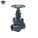 Forged Carbon Steel Globe Valve S/E Or S/W  IBR Flowjet