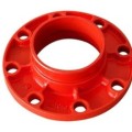 Grooved Flange