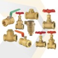 Other Brass Valves