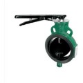  ZOLOTO BUTTERFLY VALVES