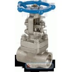 32mm or 1 1/4" NB LEADER GLOBE VALVE FCS BODY SS TRIM S/W-SOCKETWELDED END 800 LBS IBR 