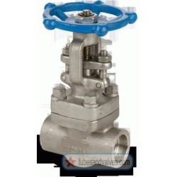 15mm or 1/2 NB LEADER GLOBE VALVE FCS BODY SS TRIM S/E-SCREWED END-THREADED END 800 LBS IBR-58112