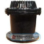 65mm or 2 1/2" NB CI FOOT VALVE SWING TYPE F/E-FLANGED END VV